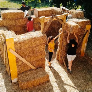 CURS DE PALLA
